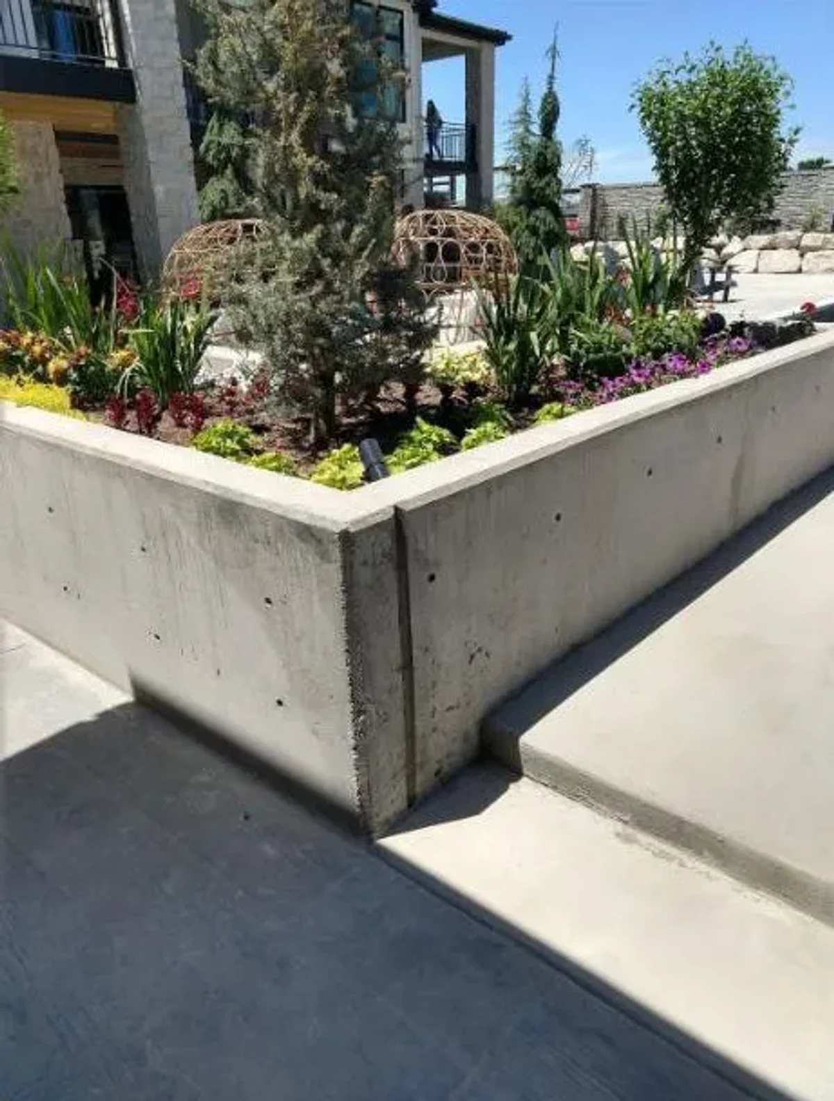 Terreno Concrete project